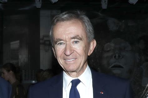 louis vuitton the owner|Louis Vuitton arnault.